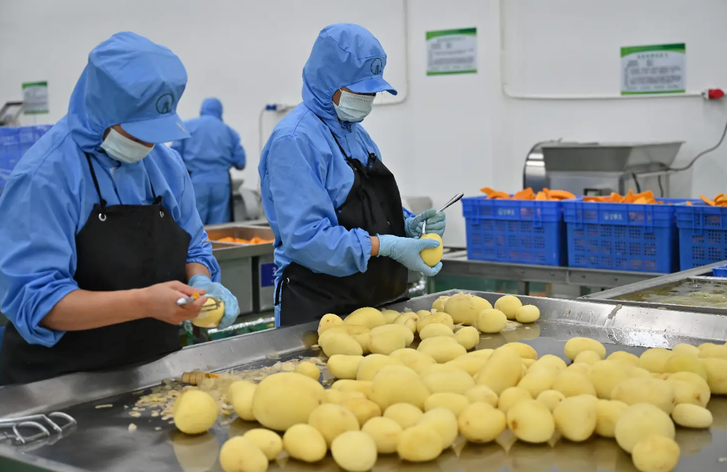 <strong>農副產品深加工：農業(yè)發(fā)展的強大助力之全自動凈菜加工生產線</strong>